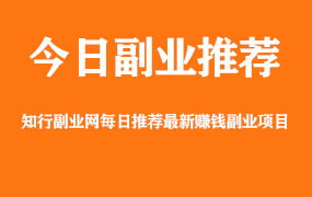 【副业项目1376期】龟课最新闲鱼项目玩法实战教程_全新升级月收益几千到几万-小白副业网