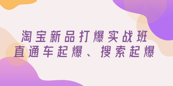 【副业项目3372期】淘宝新品打爆实战班（淘宝店铺如何增加流量和访客）-小白副业网