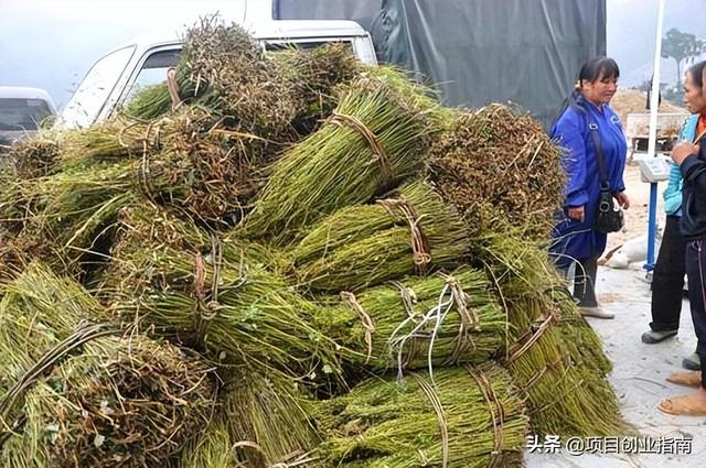 图片[2]-适合年轻人白手起家的冷门小生意，做好发家致富不难-小白副业网
