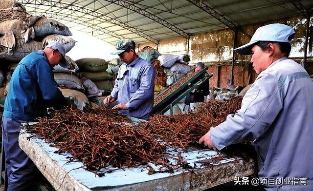 图片[3]-适合年轻人白手起家的冷门小生意，做好发家致富不难-小白副业网