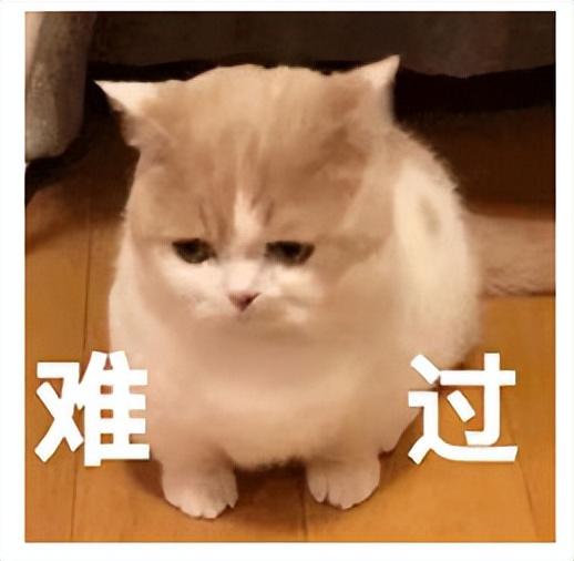 图片[2]-跨境电商海外仓储成本（跨境电商物流方式分析）-小白副业网