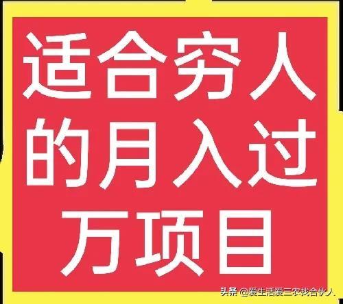 适合农村人做的赚钱项目（在农村做什么项目好）-小白副业网