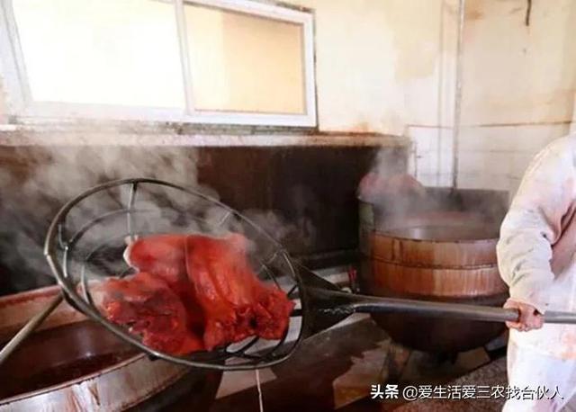 图片[5]-适合农村人做的赚钱项目（在农村做什么项目好）-小白副业网