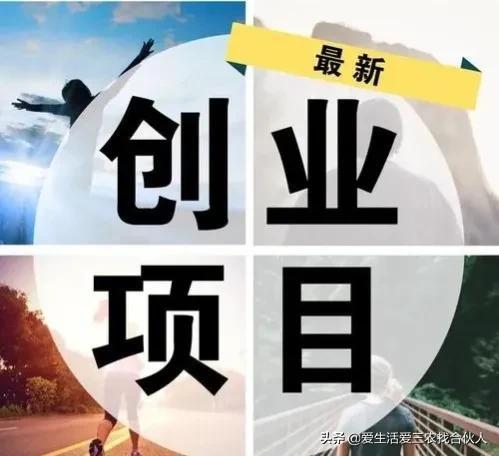 图片[11]-适合农村人做的赚钱项目（在农村做什么项目好）-小白副业网