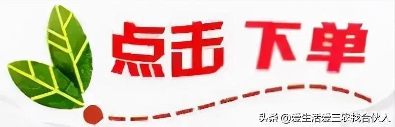 图片[12]-适合农村人做的赚钱项目（在农村做什么项目好）-小白副业网
