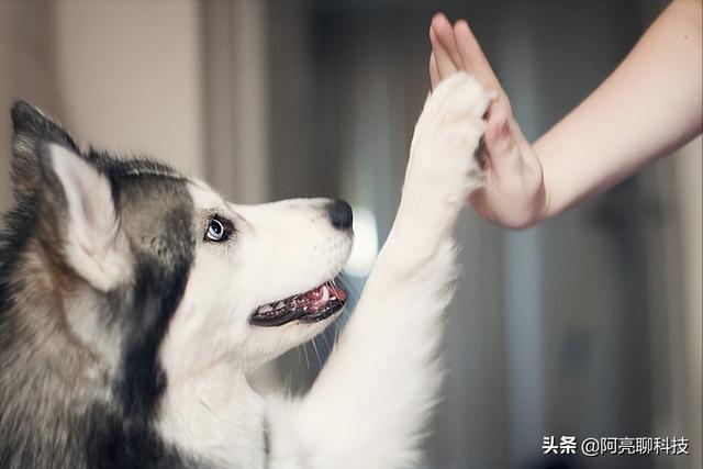 图片[3]-2022年千万不能做的生意，2022适合普通人做的生意有哪些-小白副业网