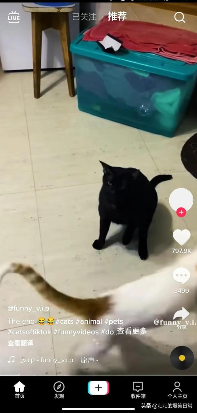 如何使用海外版抖音（国内怎样使用tiktok）-小白副业网