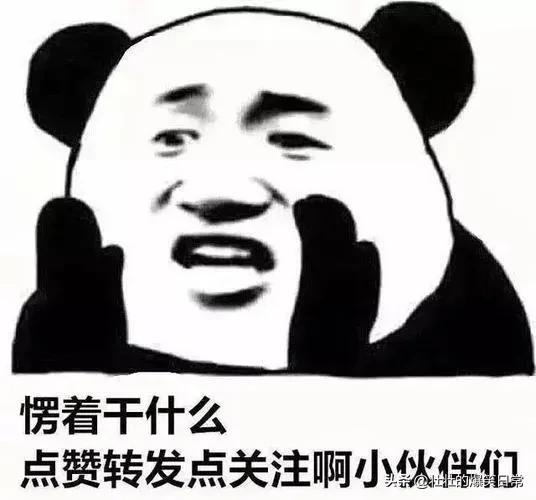 图片[6]-如何使用海外版抖音（国内怎样使用tiktok）-小白副业网
