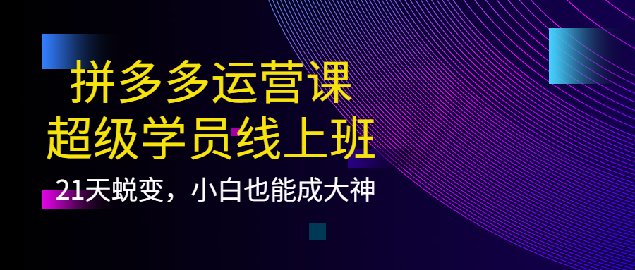 【副业项目4260期】拼多多运营课：超级学员线上班，21天蜕变，小白也能成大神-小白副业网