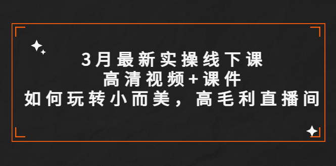 【副业项目5675期】3月最新实操线下课高清视频+课件，如何玩转小而美，高毛利直播间-小白副业网