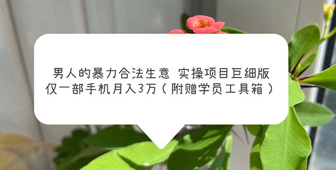 【副业项目5982期】男人的暴力合法生意实操项目巨细版：仅一部手机月入3w（附赠学员工具箱）-小白副业网