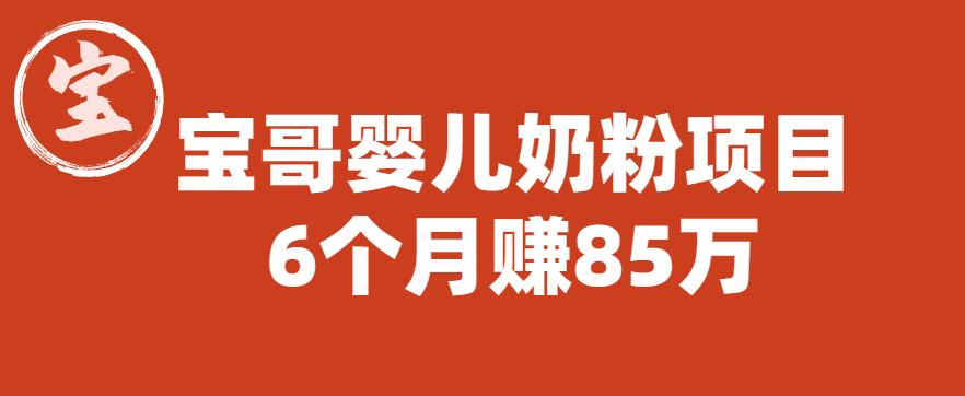 【副业项目6416期】宝哥婴儿奶粉项目，6个月赚85w【图文非视频】【揭秘】-小白副业网