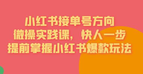 【副业项目6820期】接单号方向·小红书微操实践课，快人一步，提前掌握小红书爆款玩法-小白副业网