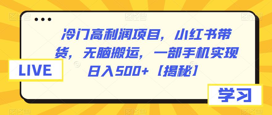 【副业项目6875期】冷门高利润项目，小红书带货，无脑搬运，一部手机实现日入500+【揭秘】-小白副业网