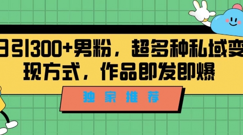 【副业项目7191期】独家推荐！日引300+男粉，超多种私域变现方式-小白副业网