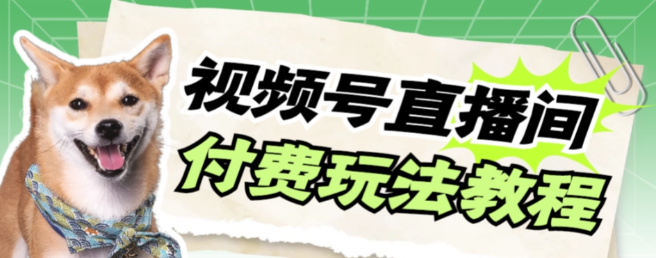 【副业项目7973期】视频号美女付费无人直播，轻松日入500+-小白副业网