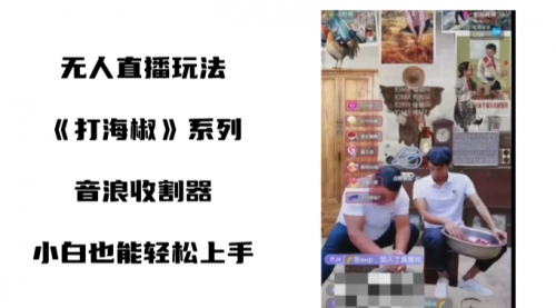 【副业8766期】打海椒无人直播整蛊项目，小白轻松上手撸音浪收割器（教程+工具+素材）-小白副业网