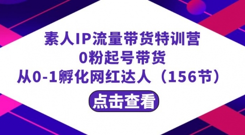 【副业8847期】繁星·计划素人IP流量带货特训营：0粉起号带货 从0-1孵化网红达人（156节）-小白副业网