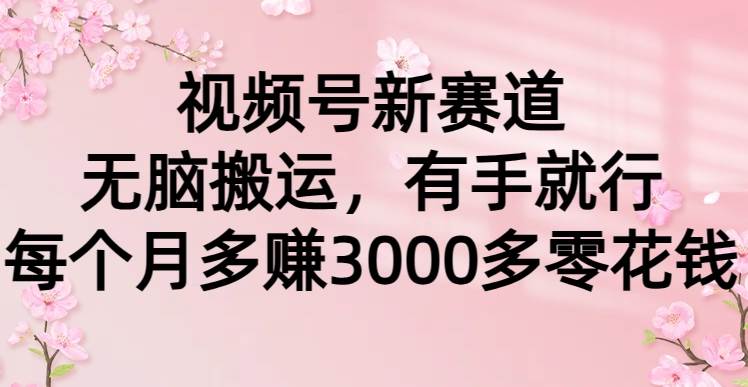 视频号新赛道，无脑搬运，有手就行，每个月多赚3000多零花钱-小白副业网