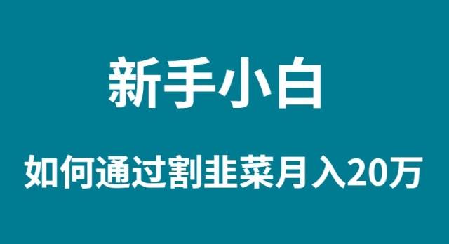 新手小白如何通过割韭菜月入 20W-小白副业网