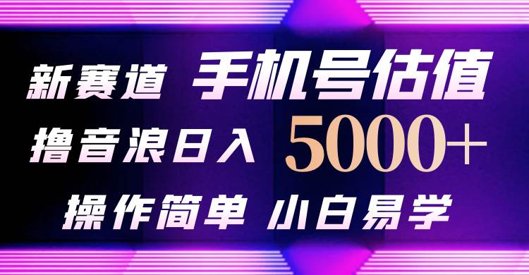抖音不出境直播【手机号估值】最新撸音浪，日入5000+，简单易学，适合…-小白副业网