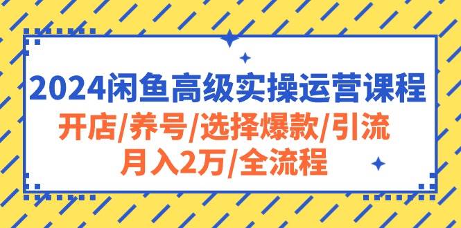 2024闲鱼高级实操运营课程：开店/养号/选择爆款/引流/月入2万/全流程-小白副业网