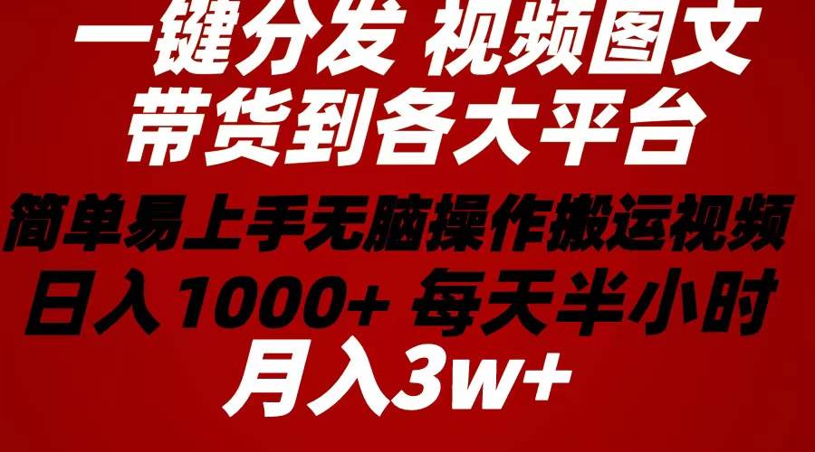 2024年 一键分发带货图文视频  简单易上手 无脑赚收益 每天半小时日入1…-小白副业网