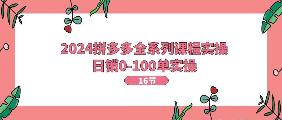 2024拼多多全系列课程实操，日销0-100单实操【16节课】-小白副业网