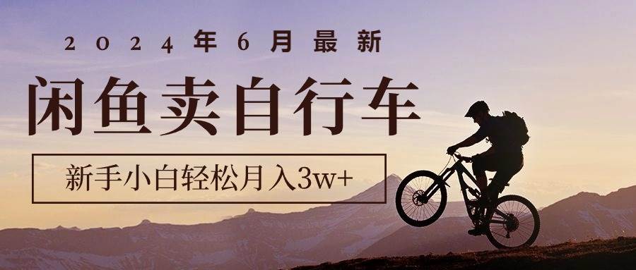 2024年6月最新闲鱼卖自行车，新手小白轻松月入3w+项目-小白副业网