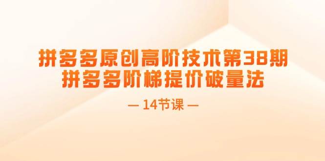 拼多多原创高阶技术第38期，拼多多阶梯提价破量法（14节课）-小白副业网