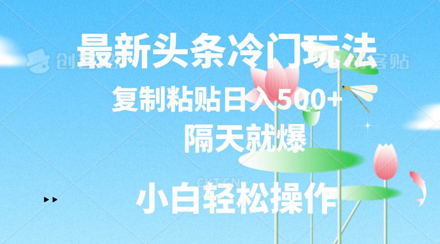最新头条冷门玩法，隔天就爆，复制粘贴日入500+-小白副业网