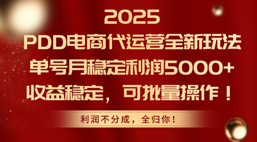 2025 PDD电商代运营全新玩法，单号月稳定利润5000+，收益稳定，可批量操作！-小白副业网