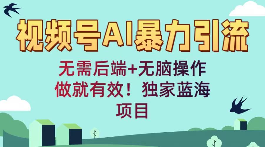 视频号AI暴力引流：无需后端+无脑操作，做就有效！独家蓝海项目-小白副业网